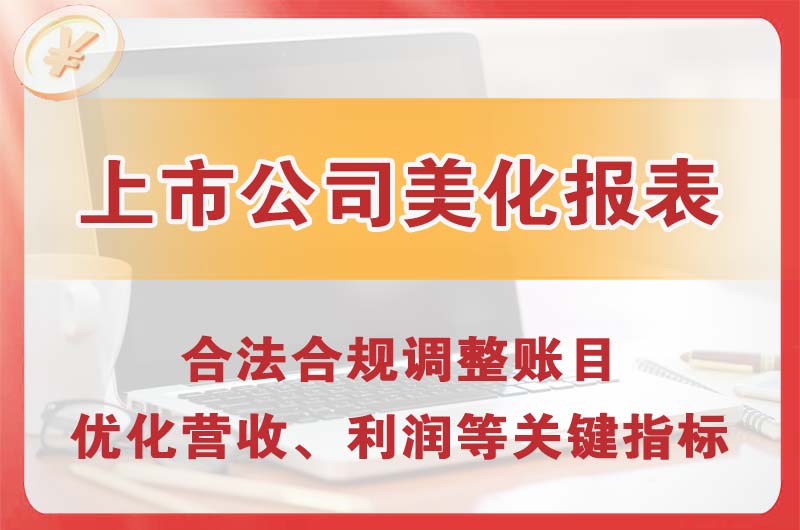 源城上市公司美化报表